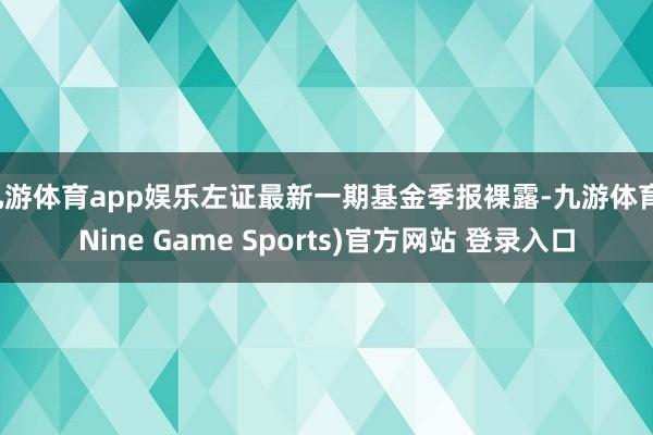 九游体育app娱乐左证最新一期基金季报裸露-九游体育(Nine Game Sports)官方网站 登录入口