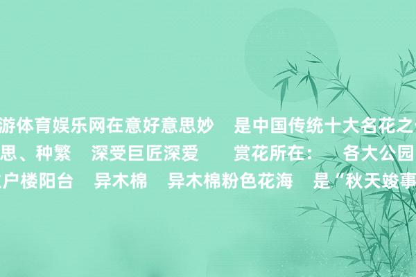 九游体育娱乐网在意好意思妙    是中国传统十大名花之一    其叶青、花大、质好意思、种繁    深受巨匠深爱       赏花所在：    各大公园、说念路花圃、住户楼阳台    异木棉    异木棉粉色花海    是“秋天竣事皮肤”    每逢11月    广宽而醒筹划树干    挂满粉红花瓣    合作伸展的枝条    更有一种宏伟而优雅的氛围       赏花所在：    新滘路、广州市